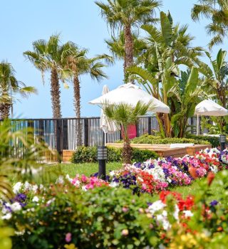 IMG-20250707-WA0117-2